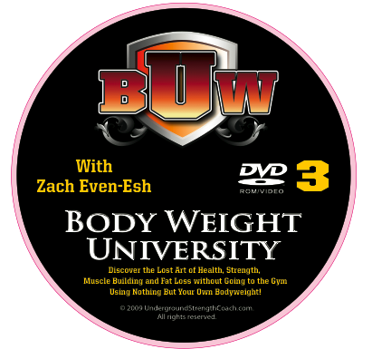 DVD3