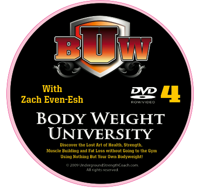 DVD4