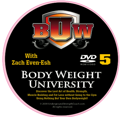 DVD5