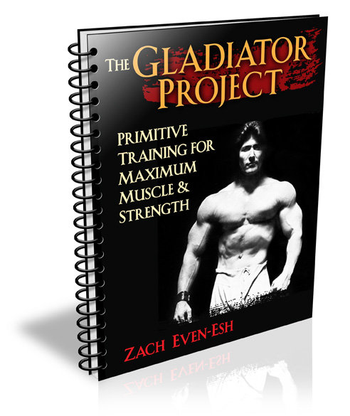 Gladiator-Project