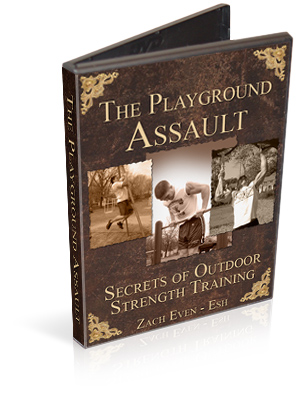 playgroundassaultdvd.jpg