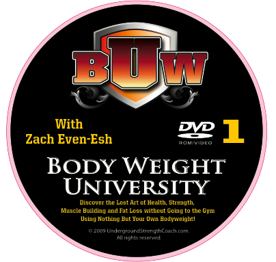 DVD1