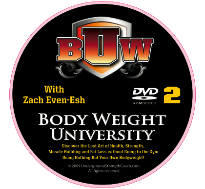 DVD2