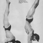 The Power Behind Push Ups