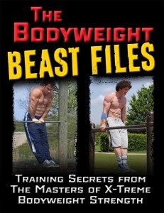 best bodyweight workouts Archives Zach Even Esh