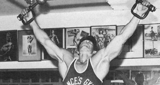 don howorth pull ups