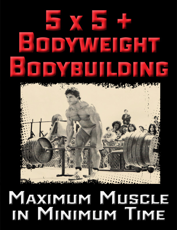  /></a></p>
<p><strong>5 X 5 + Bodyweight Bodybuilding ($97 Value)</strong> — <strong>For the meatheads out there who can’t let go of the barbell or want to add barbell work AFTER finishing Bodyweight Bodybuilding, this is for you.</strong></p>
<p><strong>In this Bonus course you’ll get the following:</strong></p>
<ul>
<li>8 Week Training Cycle of 5 X 5 + Bodyweight Bodybuilding Workouts</li>
<li>15 Barbell Lifts to Choose From</li>
<li>Program Design Strategies for 5 X 5 Coupled with Bodyweight Bodybuilding</li>
</ul>
</div>
<h2>As you can clearly see, I’ve gone through the pain & suffering so YOU don’t have to.</h2>
<p><strong>I’ve done ALL the leg work, researching and experimenting on myself and my athletes, finding the best of the best, getting them to reveal their most closely guarded secrets and compiling EVERYTHING together into One Complete System, valued at $345….</strong></p>
<p>Not to mention the physical & emotional pain you’ll be saving yourself from, which we simply can NOT put a price value on. Your Health is PRICELESS.</p>
<p><strong>Now is your opportunity to snag The Entire ‘Bodyweight Bodybuilding’ course for a fraction of what it’s worth for a one time payment of $47….</strong></p>
<p><a href=