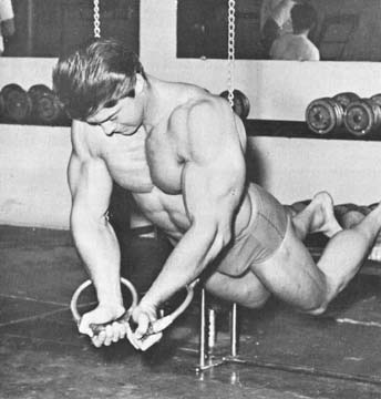 larry scott ring push ups