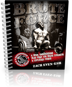 brute-force-v2-persp-straight