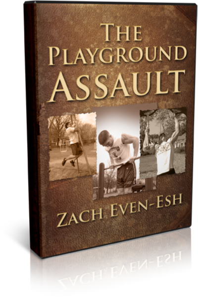 playgroundassault