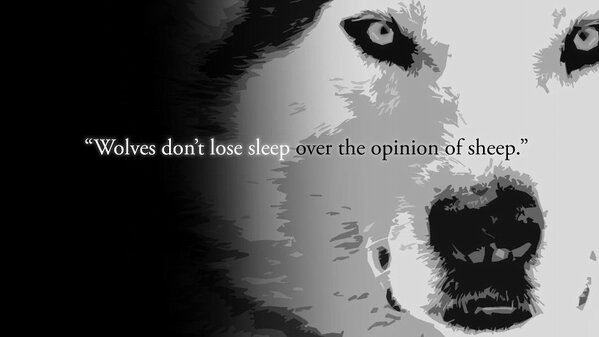 Wolf-Sheep-Opinions