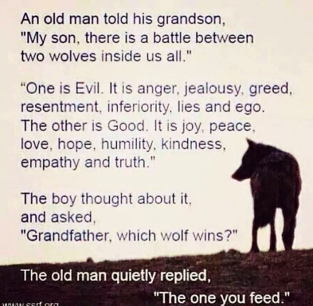 Feeding wolves