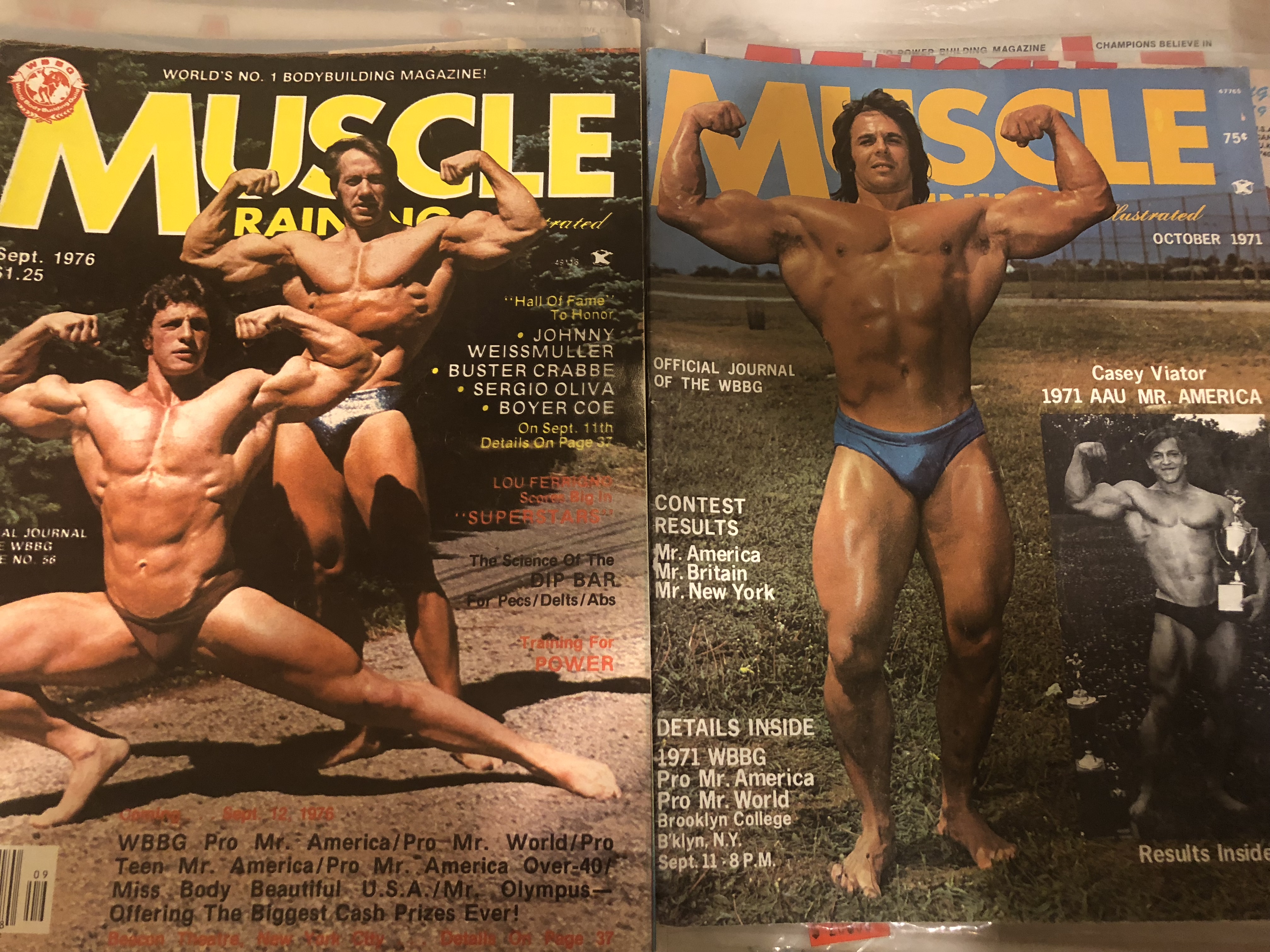 muscle bodybuilding magazines