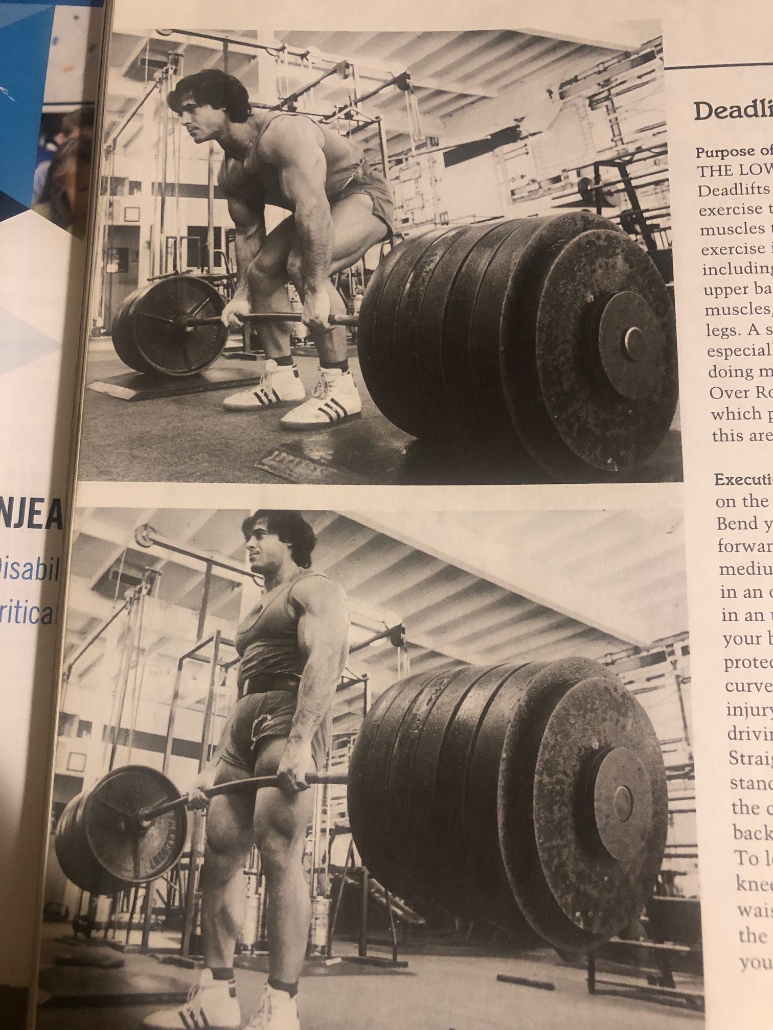 Franco Columbu Back Workout