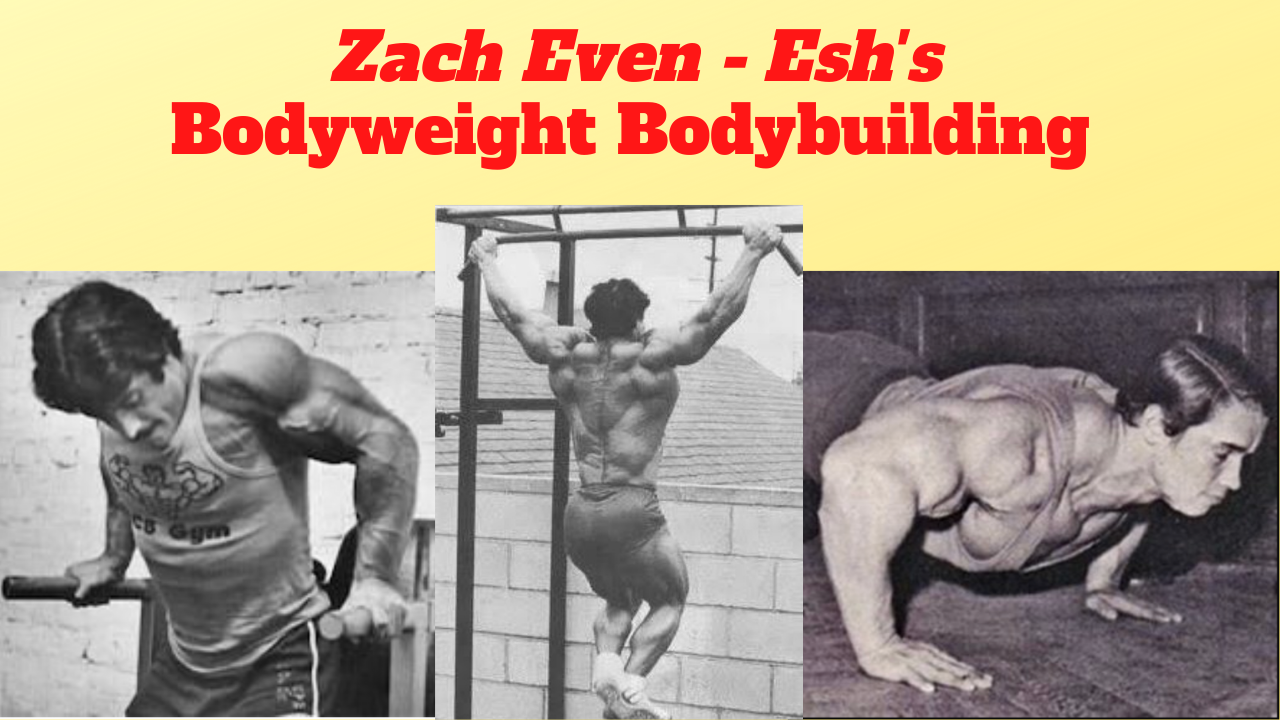 The Value of Calisthenics for Athletes & Men – Training for Performance and  Strength • Zach Even-Esh